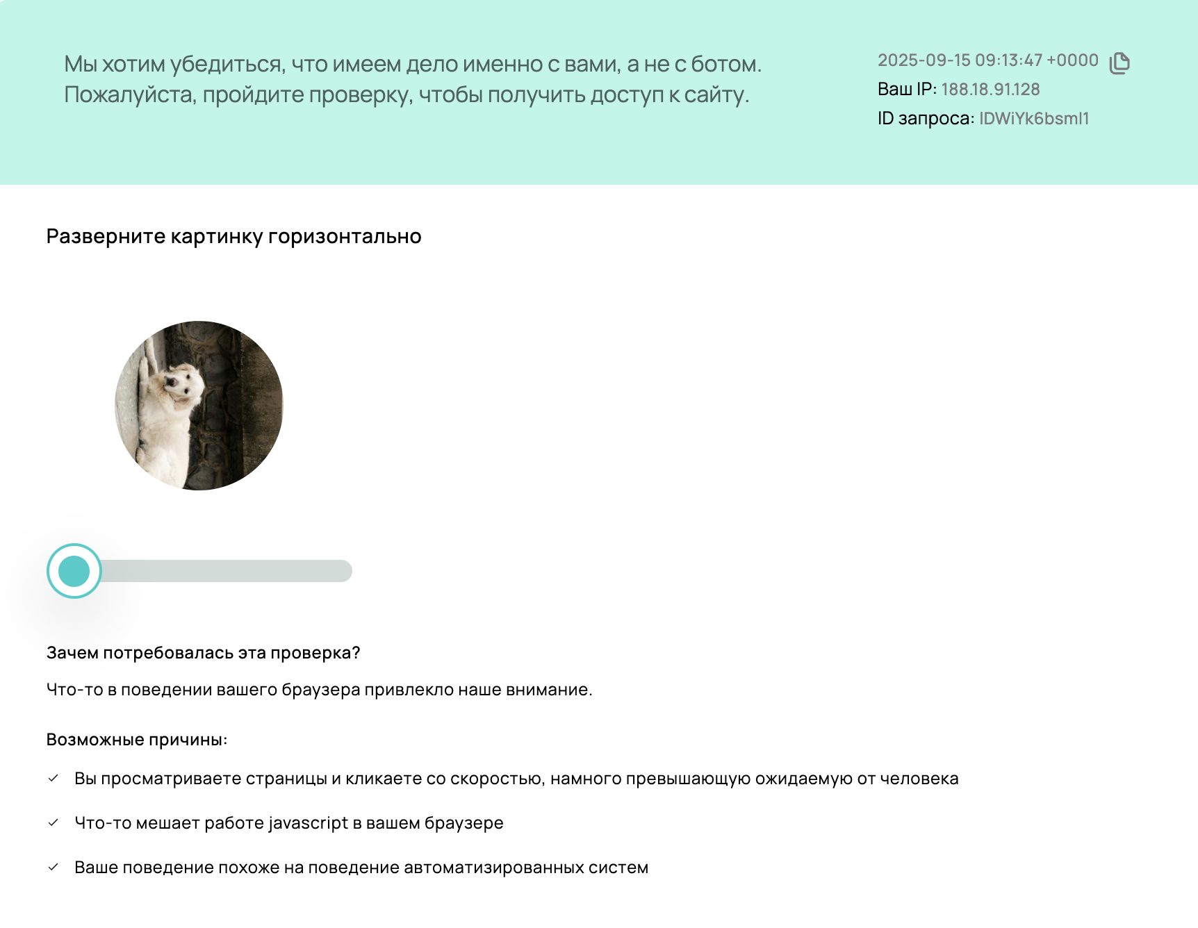 Custom 403 and CAPTCHA rotate CAPTCHA